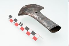 Foto von Eisenortband (NHMW-PRAE-025978)